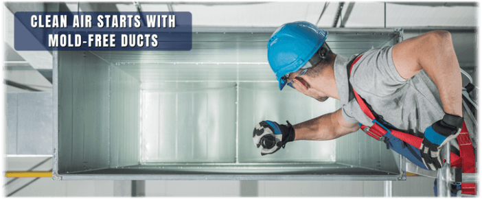 Air Duct Mold Removal in Schaumburg