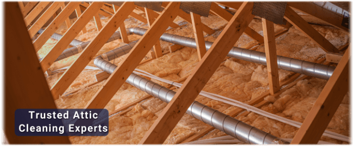 Attic Cleaning Schaumburg