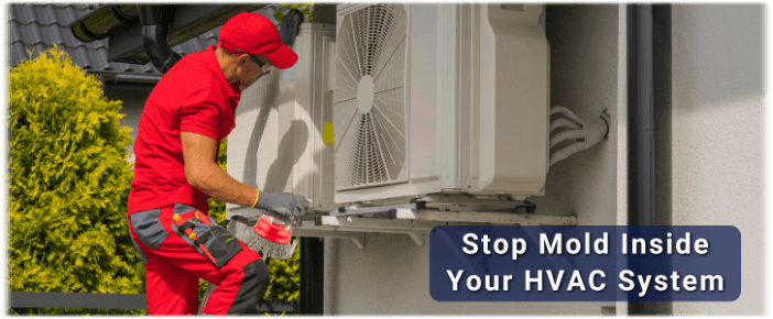 HVAC Mold Removal Schaumburg